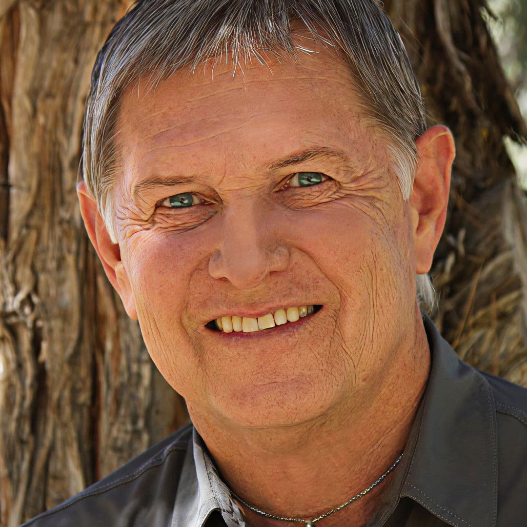 A Conversation with Robert Williams resource image