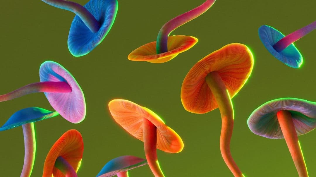 What sets psychedelic-assisted therapy apart from conventional therapy?